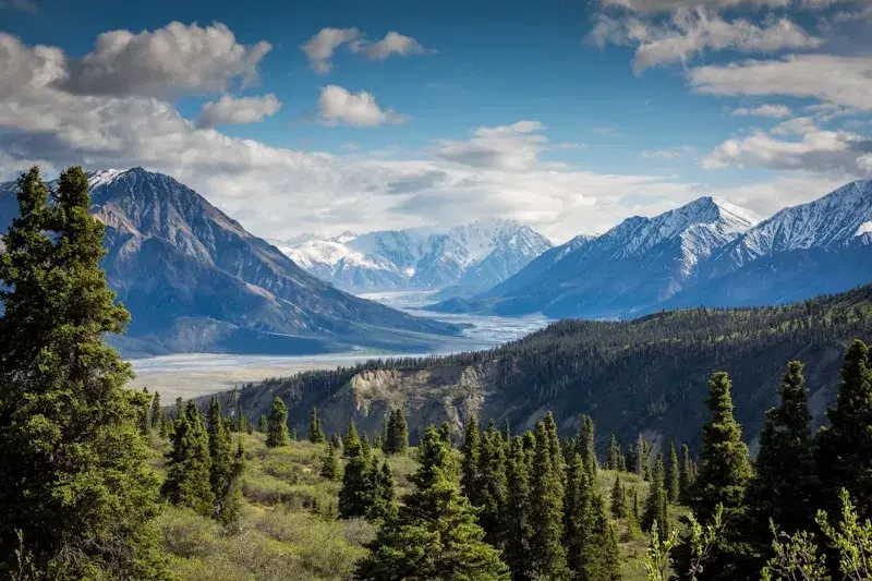 A forested valley framed by mountains beneath an open sky